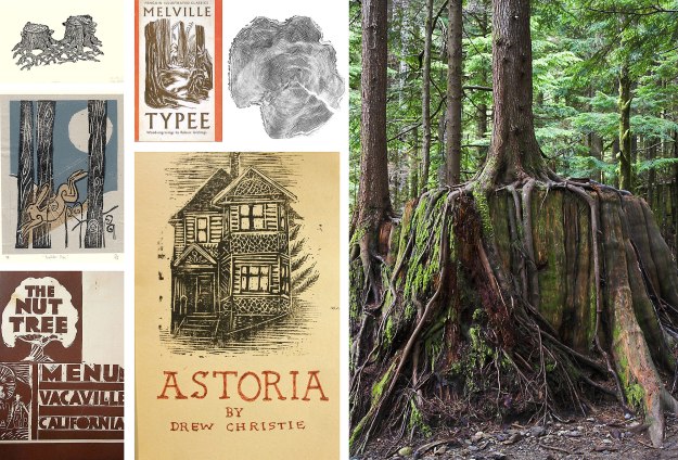 Image research for the cover of "Temple Grove"